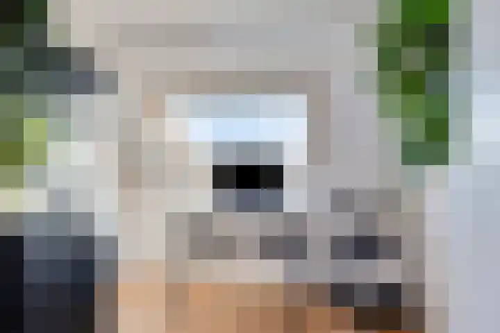 Van Boetzelaerstraat 134 Alphen aan den Rijn thumbnail 34