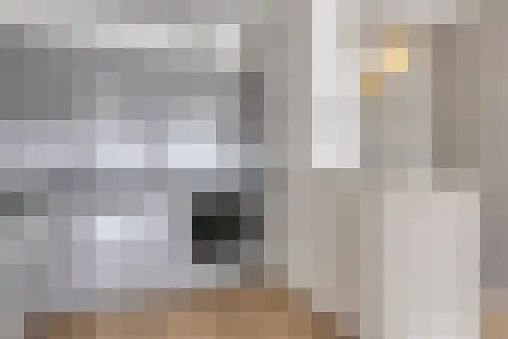 Van Boetzelaerstraat 17 Alphen aan den Rijn thumbnail 14