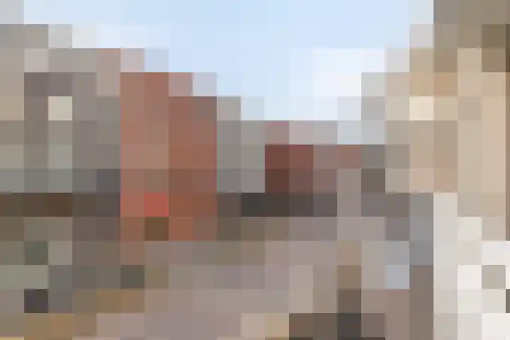 Van Boetzelaerstraat 17 Alphen aan den Rijn thumbnail 18