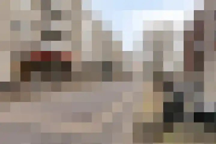 Van Boetzelaerstraat 17 Alphen aan den Rijn thumbnail 26