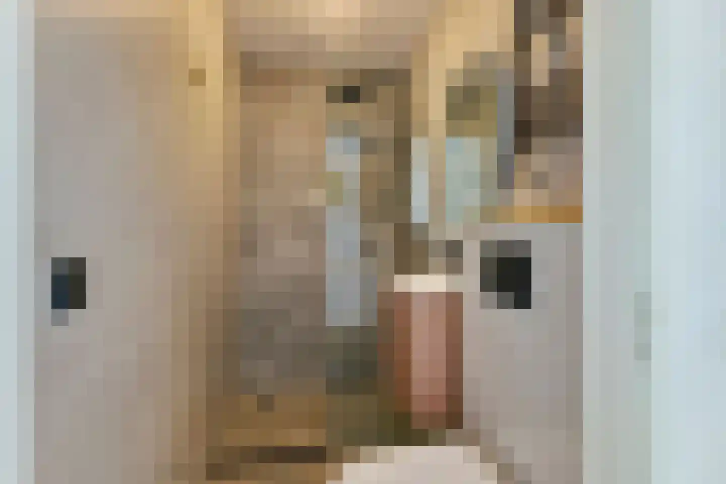 Van Boetzelaerstraat 24 1 Amsterdam thumbnail 11