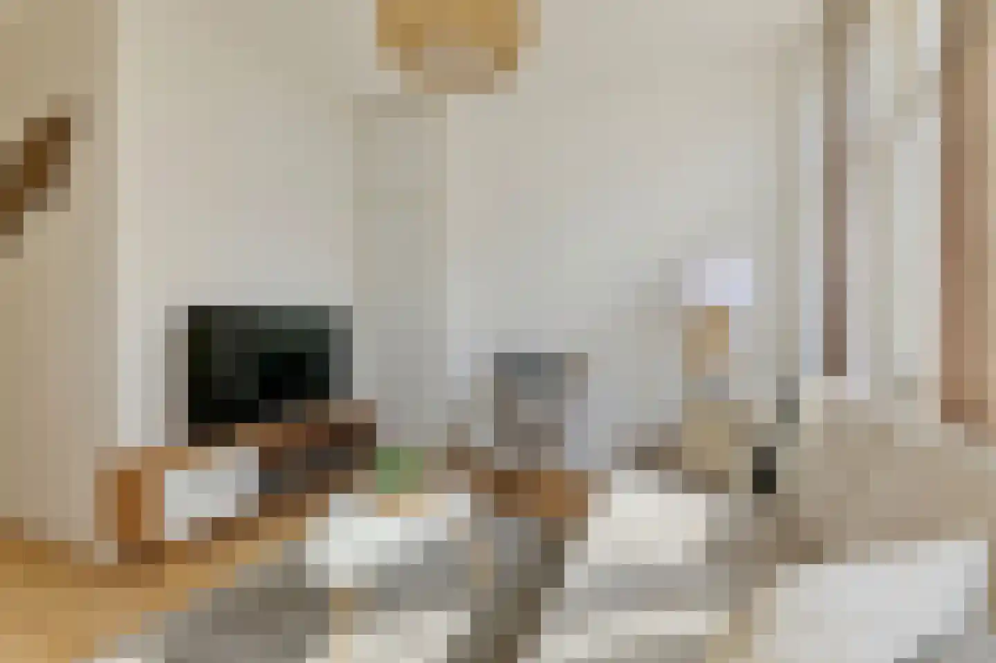 Van Boetzelaerstraat 24 1 Amsterdam thumbnail 4