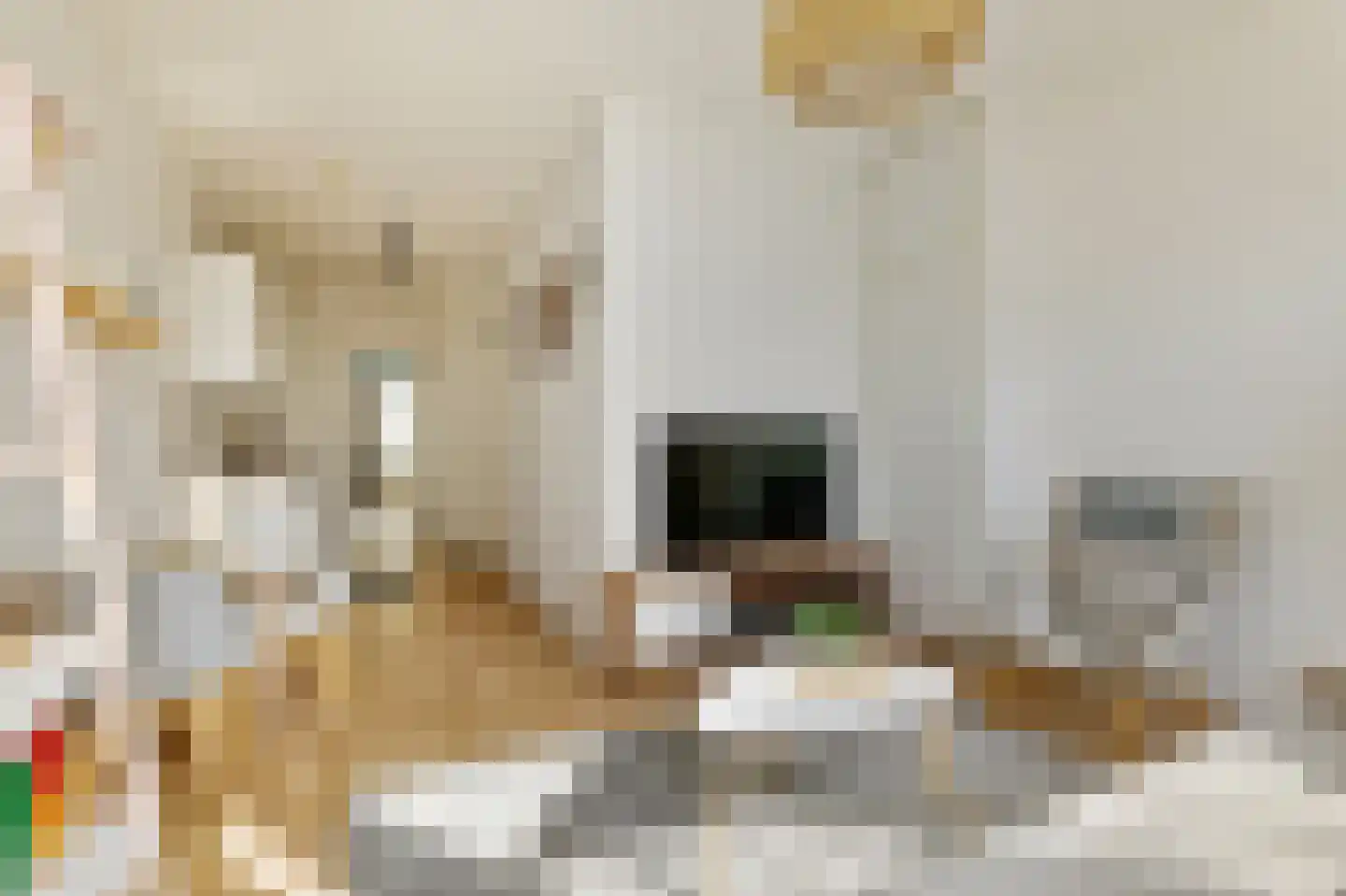 Van Boetzelaerstraat 24 1 Amsterdam thumbnail 5