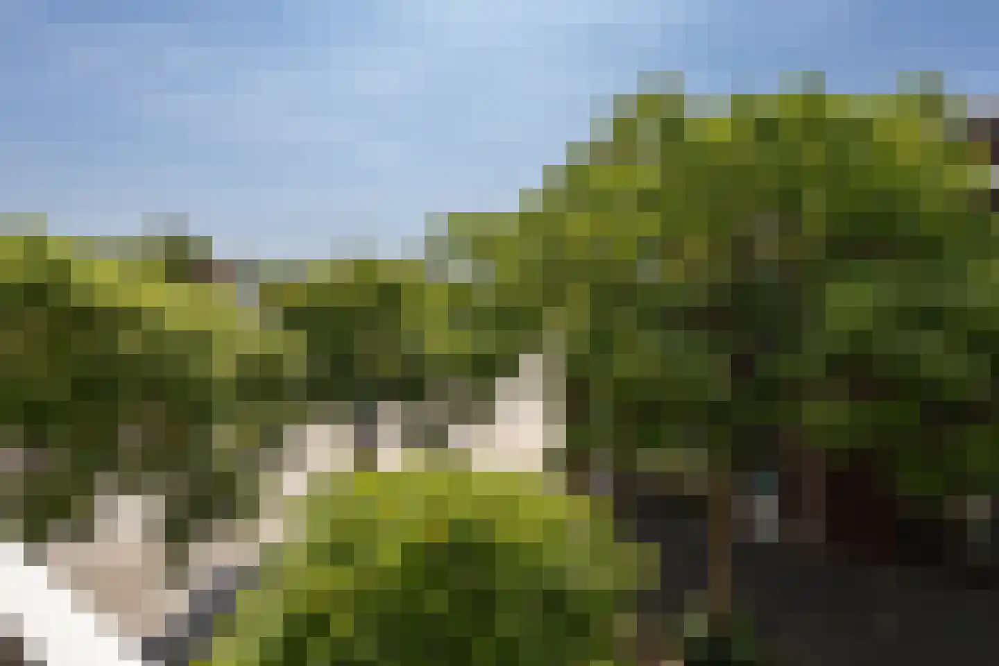 Van Boetzelaerstraat 25 A Alphen aan den Rijn thumbnail 13