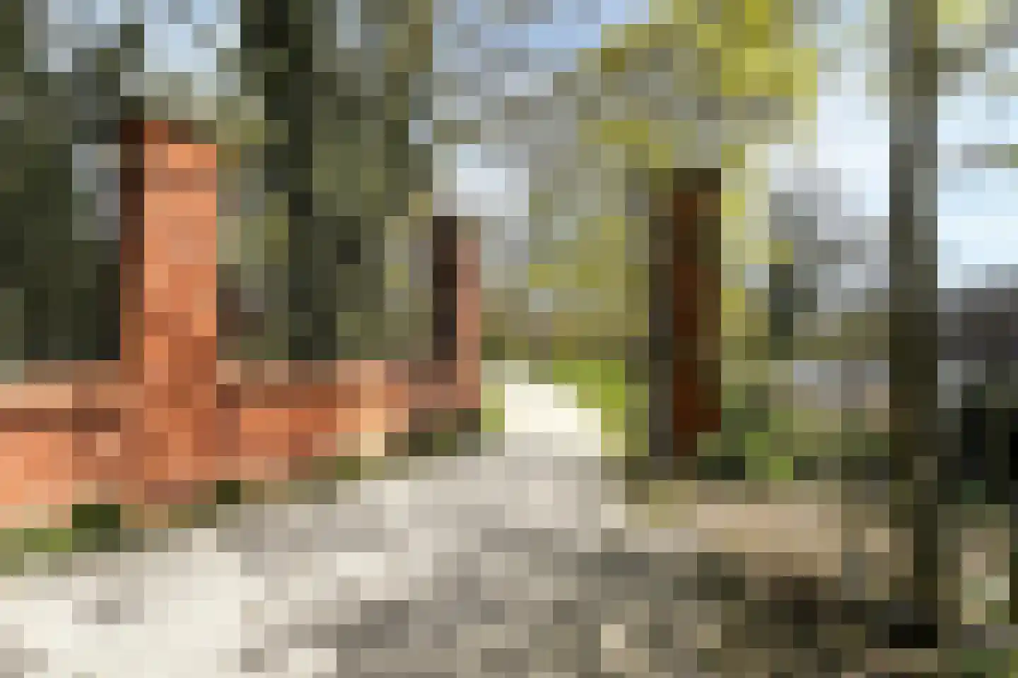 Van Boetzelaerstraat 30 1 Amsterdam thumbnail 20