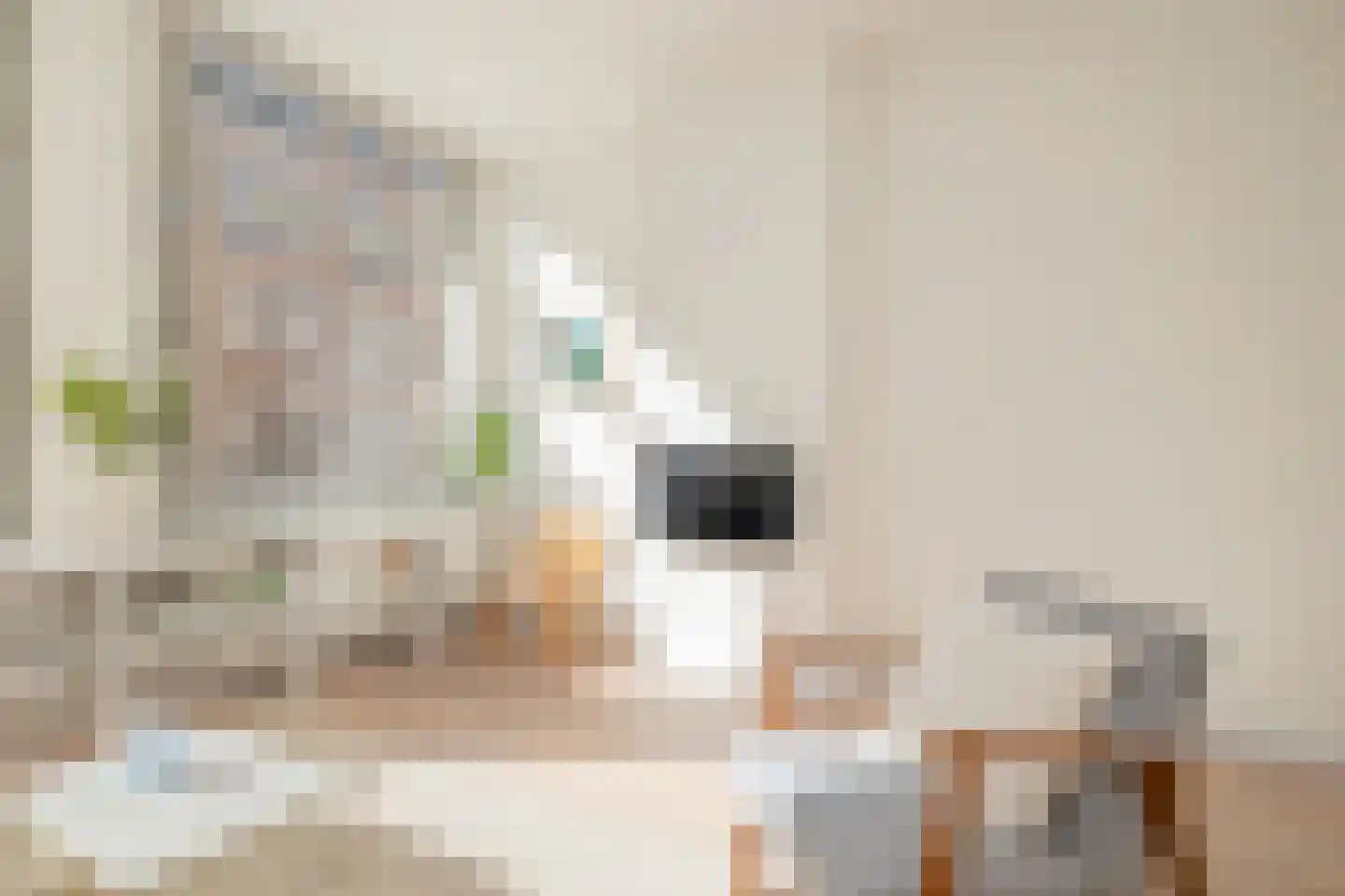 Van Boetzelaerstraat 30 1 Amsterdam thumbnail 9