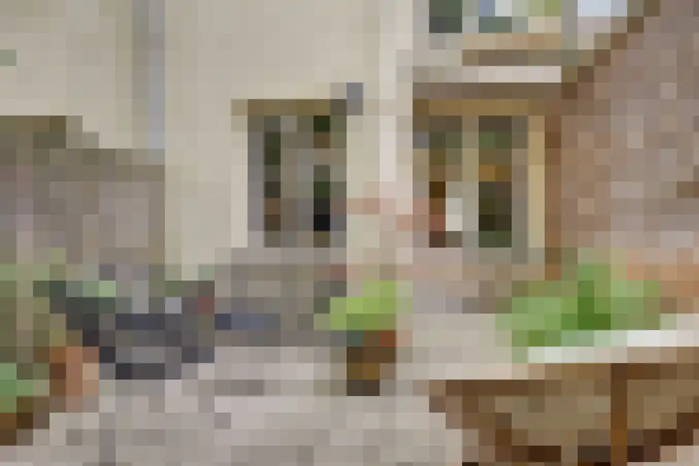 Van Boetzelaerstraat 30 H Amsterdam foto 2