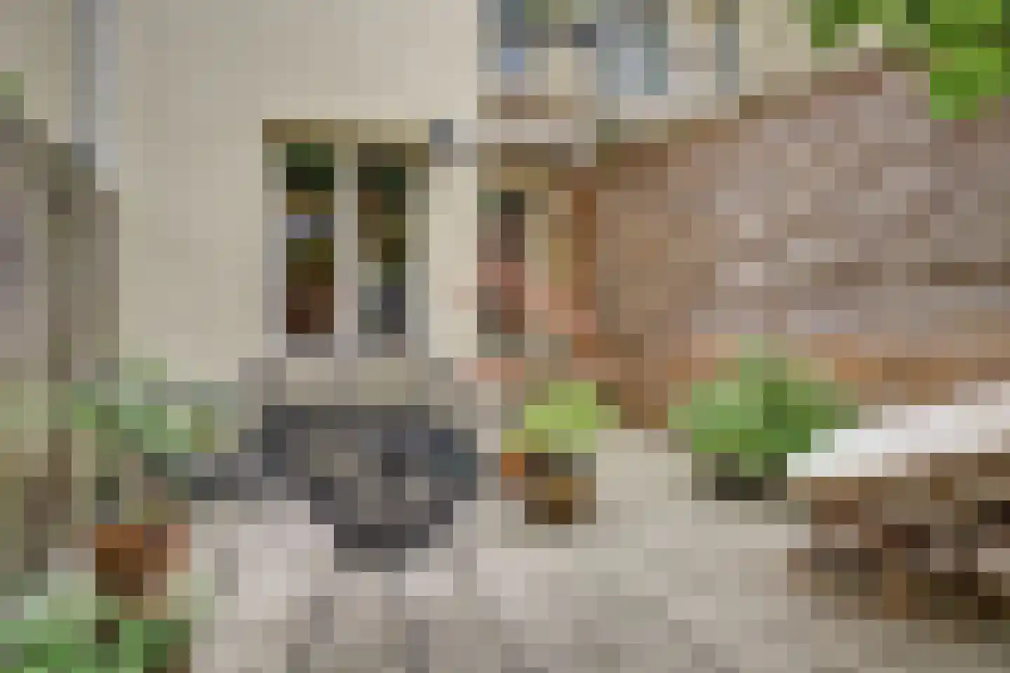 Van Boetzelaerstraat 30 H Amsterdam thumbnail 21