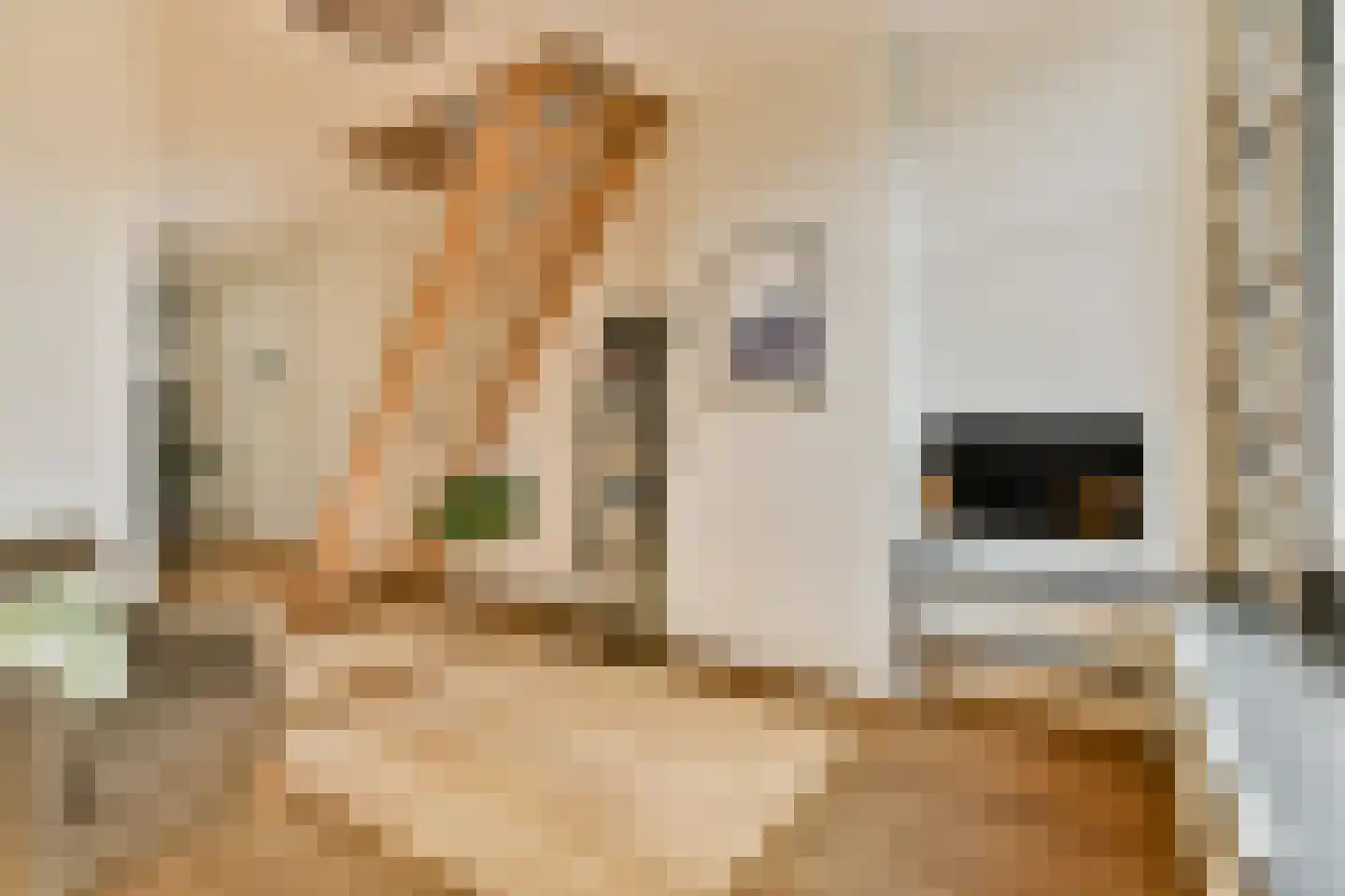 Van Boetzelaerstraat 34 1 Amsterdam thumbnail 4