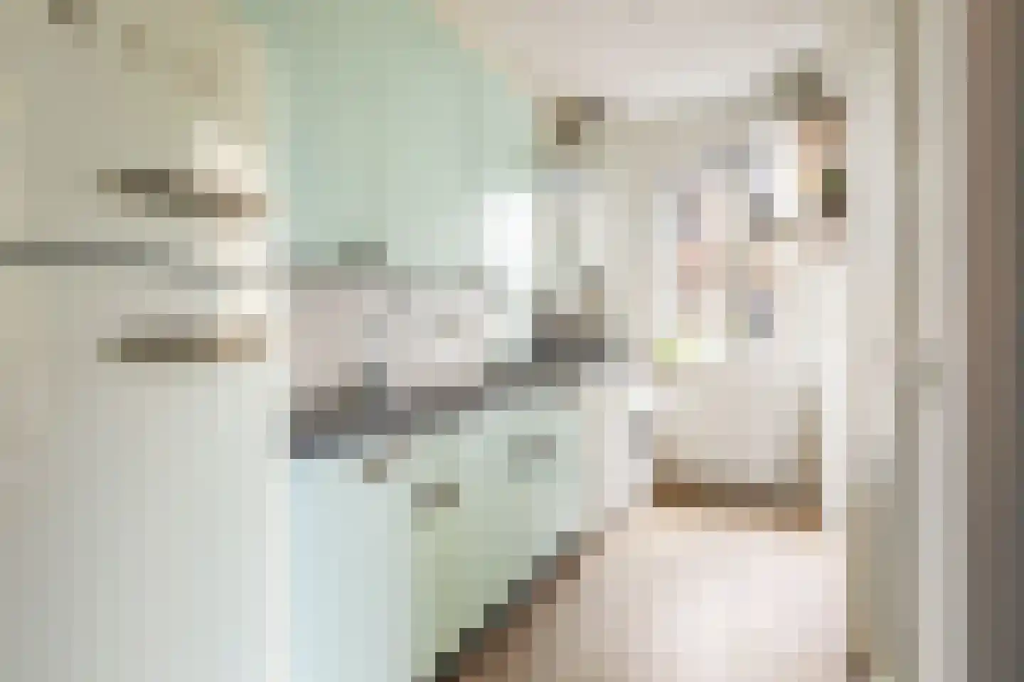 Van Boetzelaerstraat 40 1 Amsterdam thumbnail 16