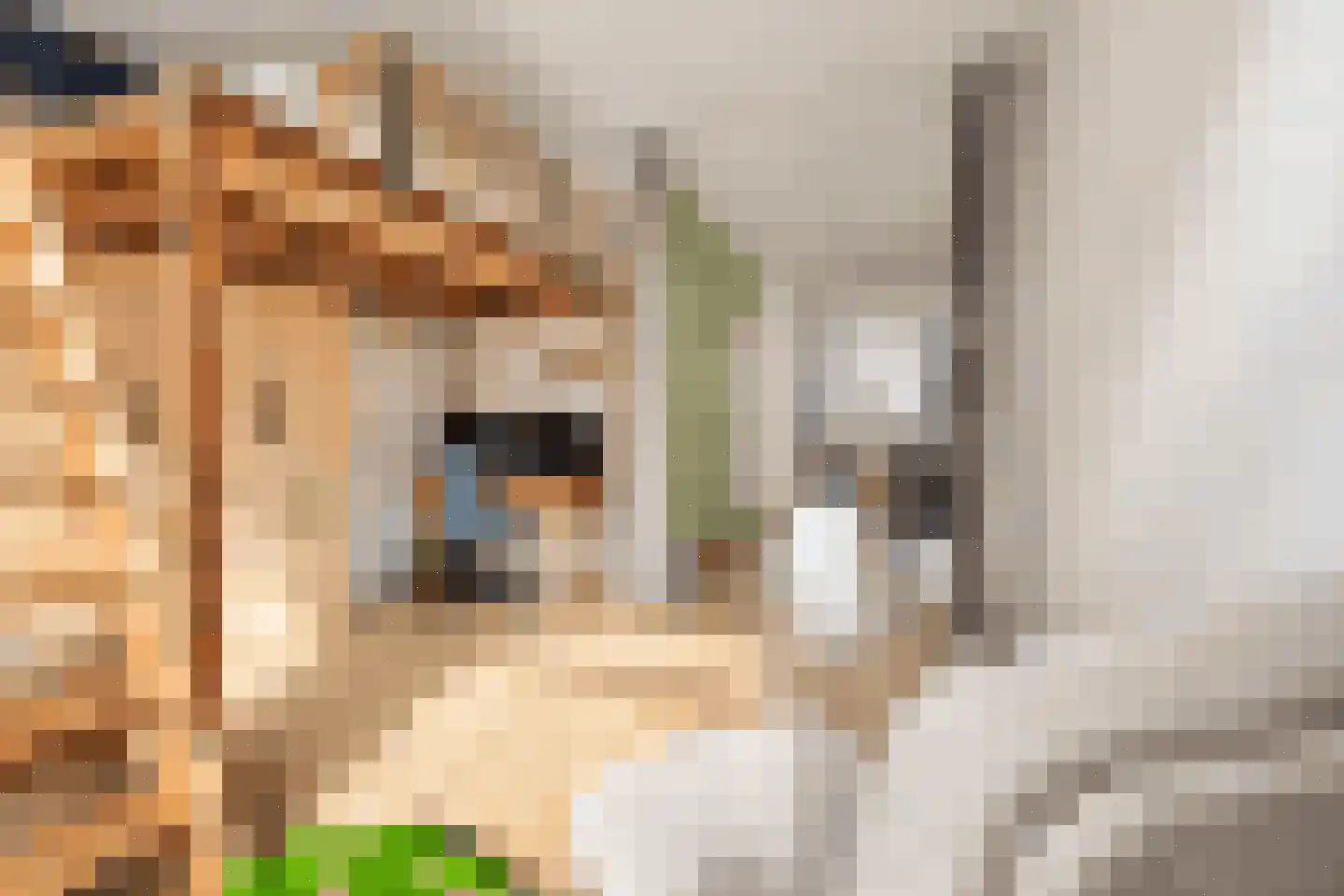 Van Boetzelaerstraat 40 1 Amsterdam thumbnail 8