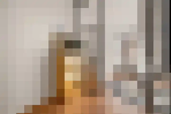 Van Boetzelaerstraat 40 2 Amsterdam thumbnail 11