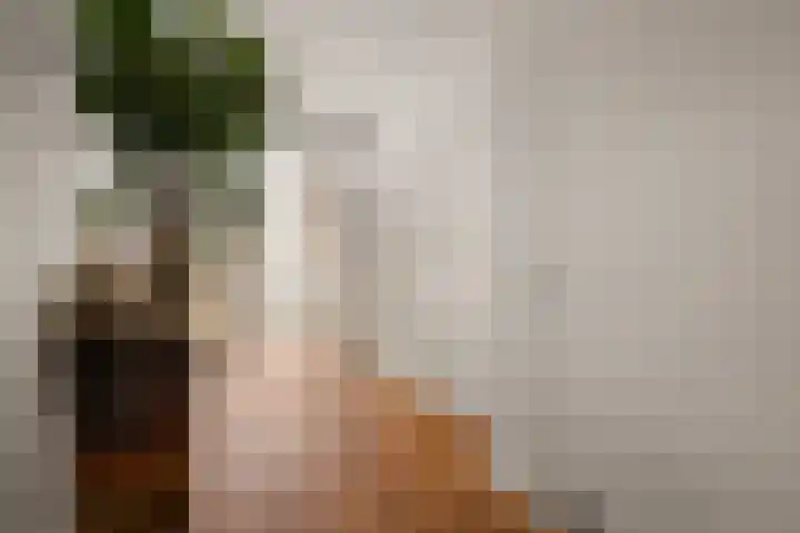 Van Boetzelaerstraat 40 2 Amsterdam thumbnail 13