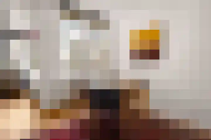 Van Boetzelaerstraat 40 2 Amsterdam thumbnail 15