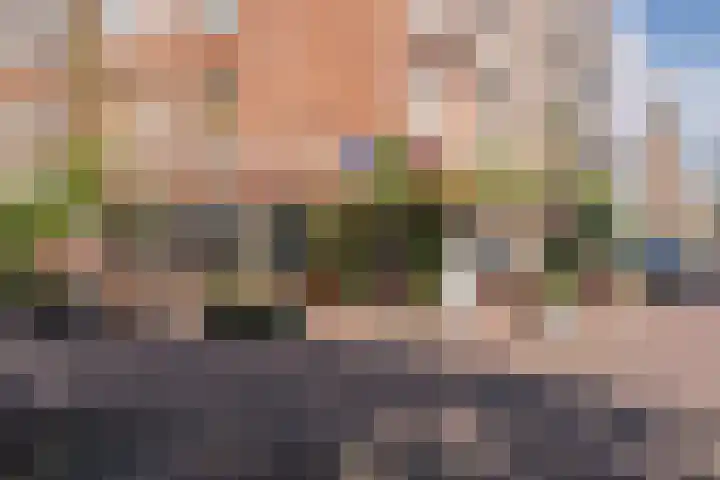Van Boetzelaerstraat 40 2 Amsterdam thumbnail 28