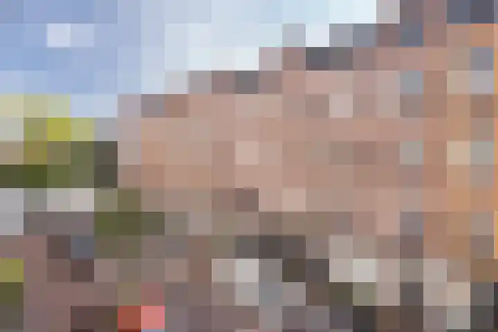 Van Boetzelaerstraat 40 2 Amsterdam thumbnail 7