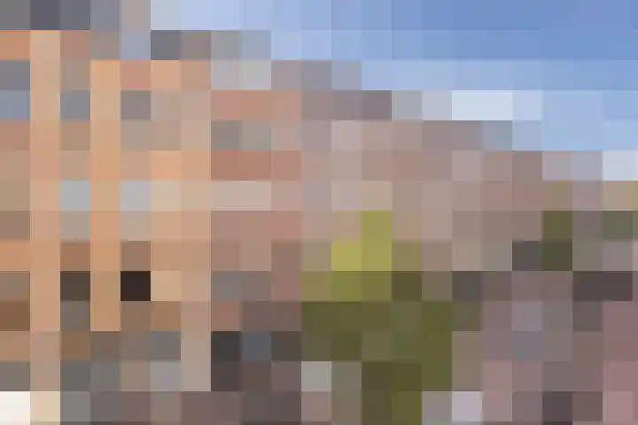 Van Boetzelaerstraat 40 2 Amsterdam thumbnail 8
