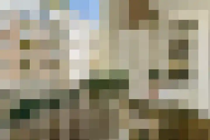 Van Boetzelaerstraat 42 2 Amsterdam thumbnail 13