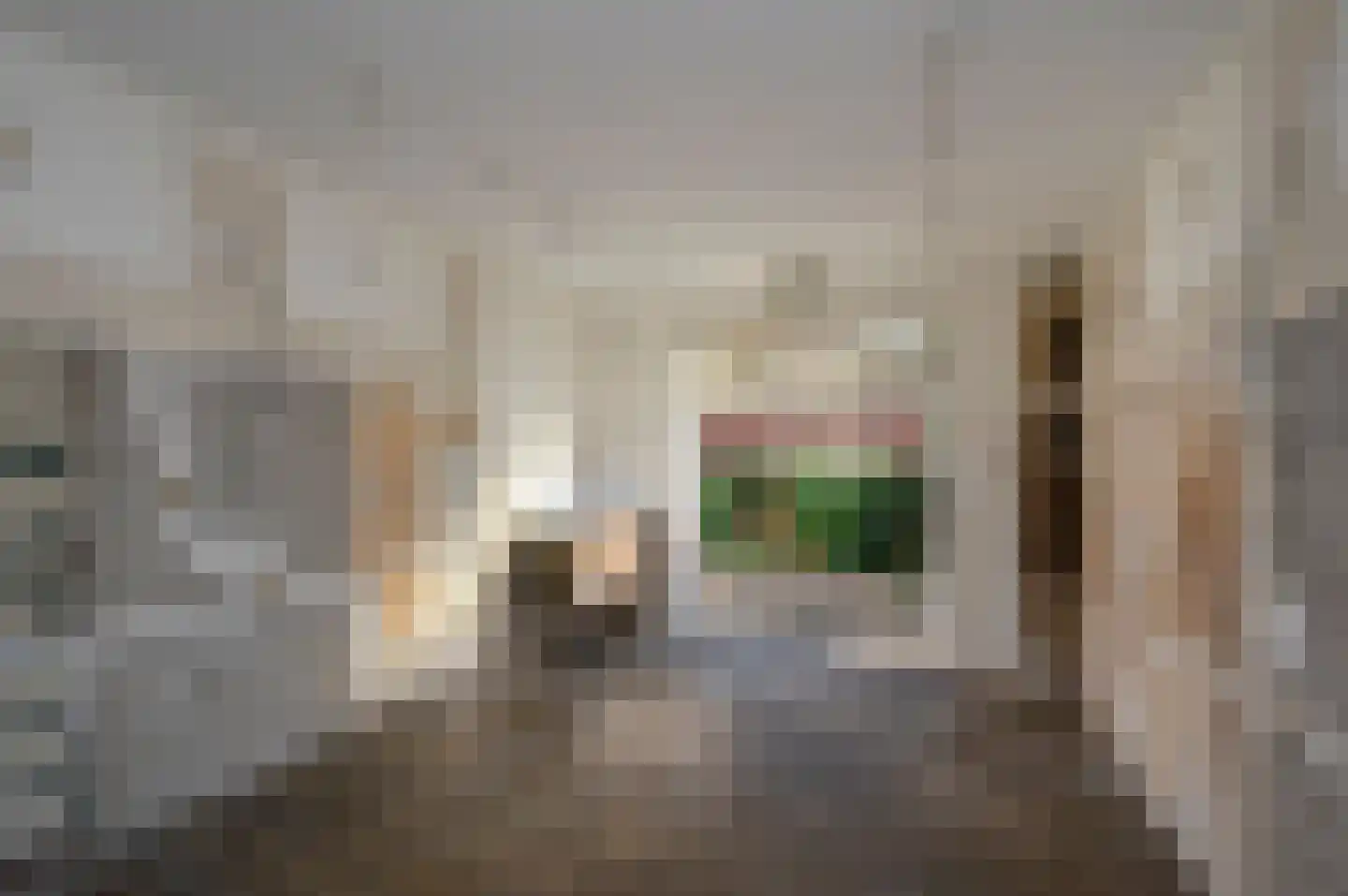 Van Boetzelaerstraat 42 Alphen aan den Rijn thumbnail 12