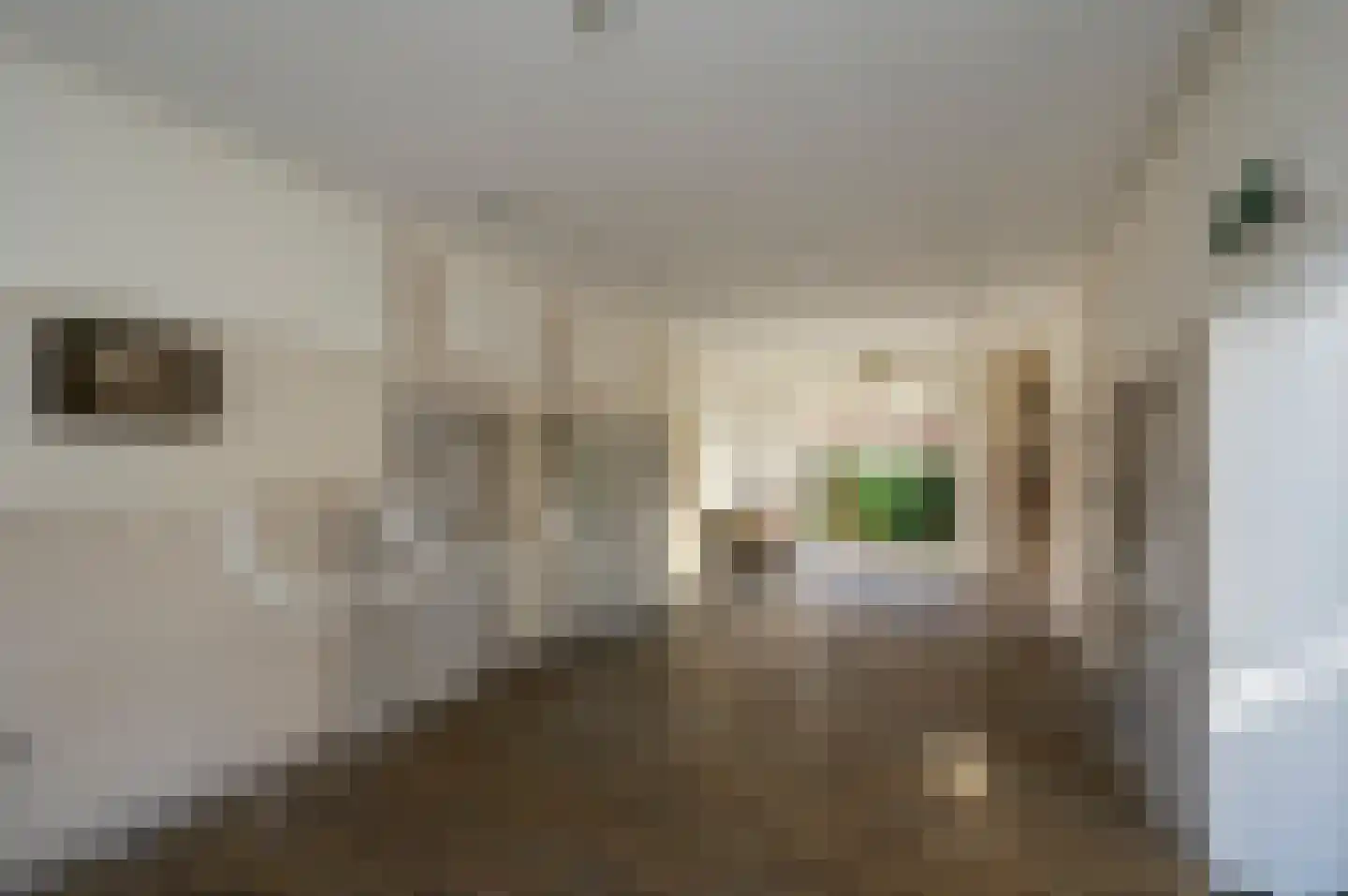 Van Boetzelaerstraat 42 Alphen aan den Rijn thumbnail 8