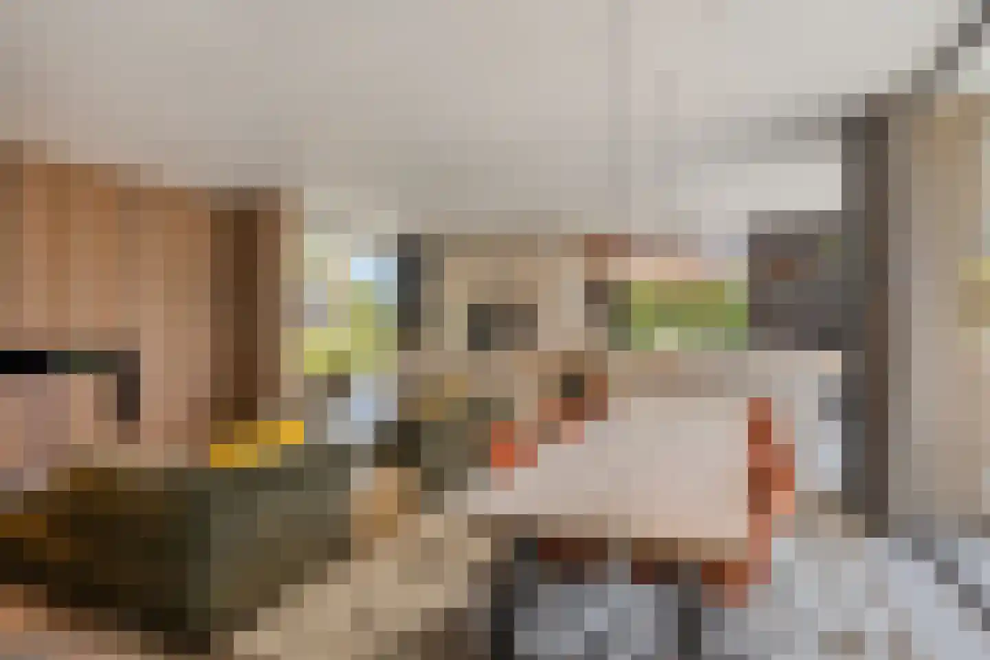van Boetzelaerstraat 5 Nijmegen thumbnail 10