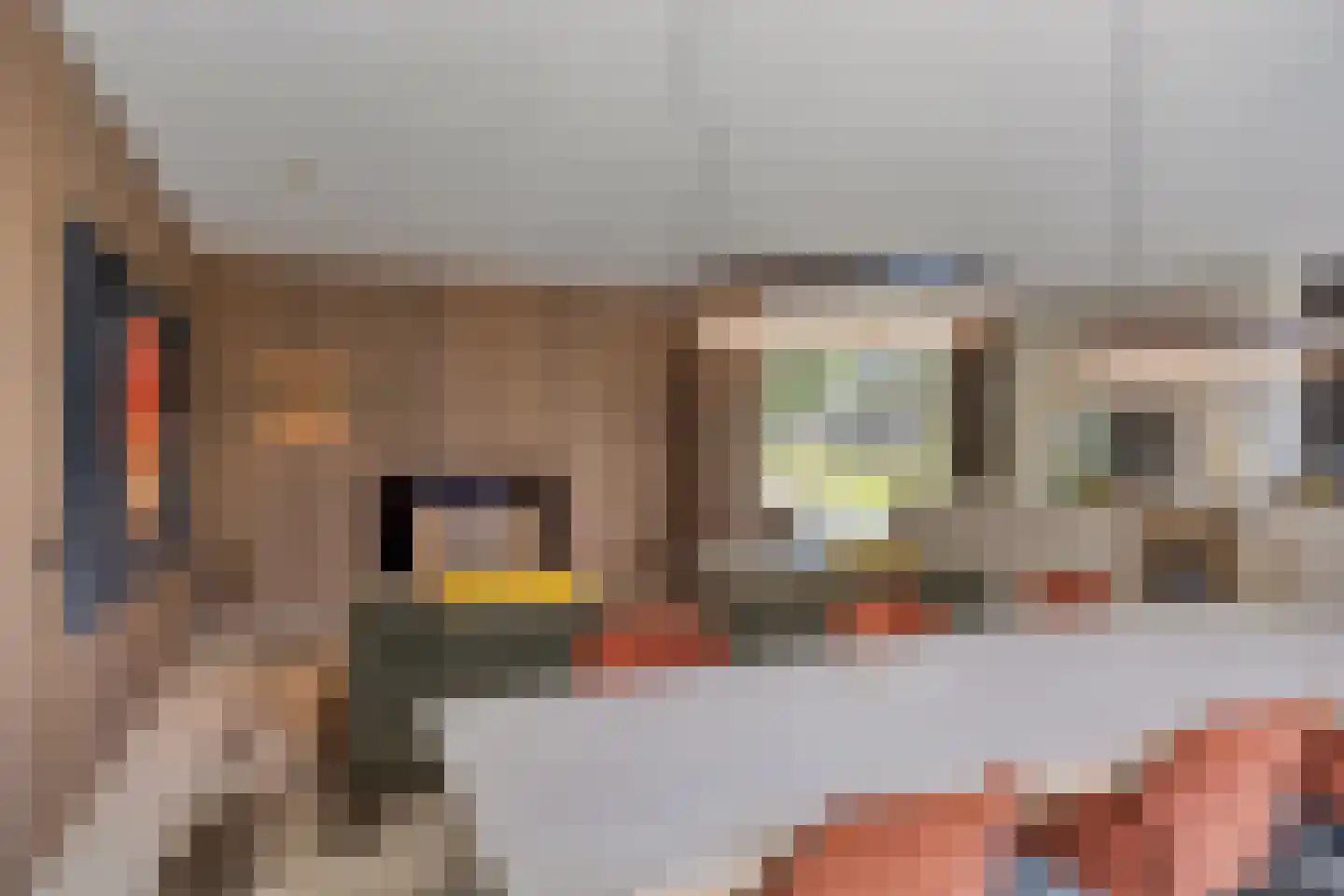 van Boetzelaerstraat 5 Nijmegen thumbnail 12