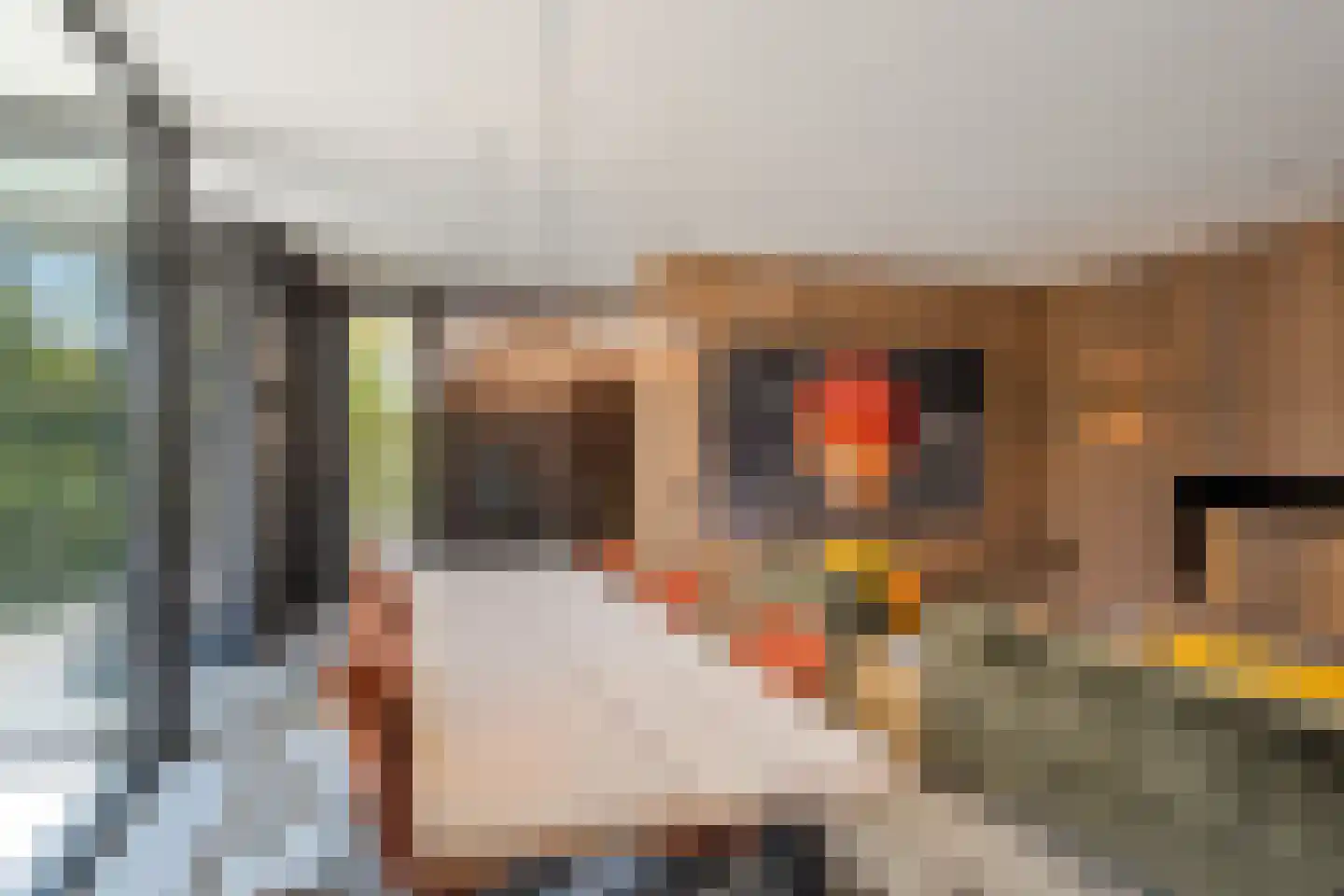 van Boetzelaerstraat 5 Nijmegen thumbnail 13