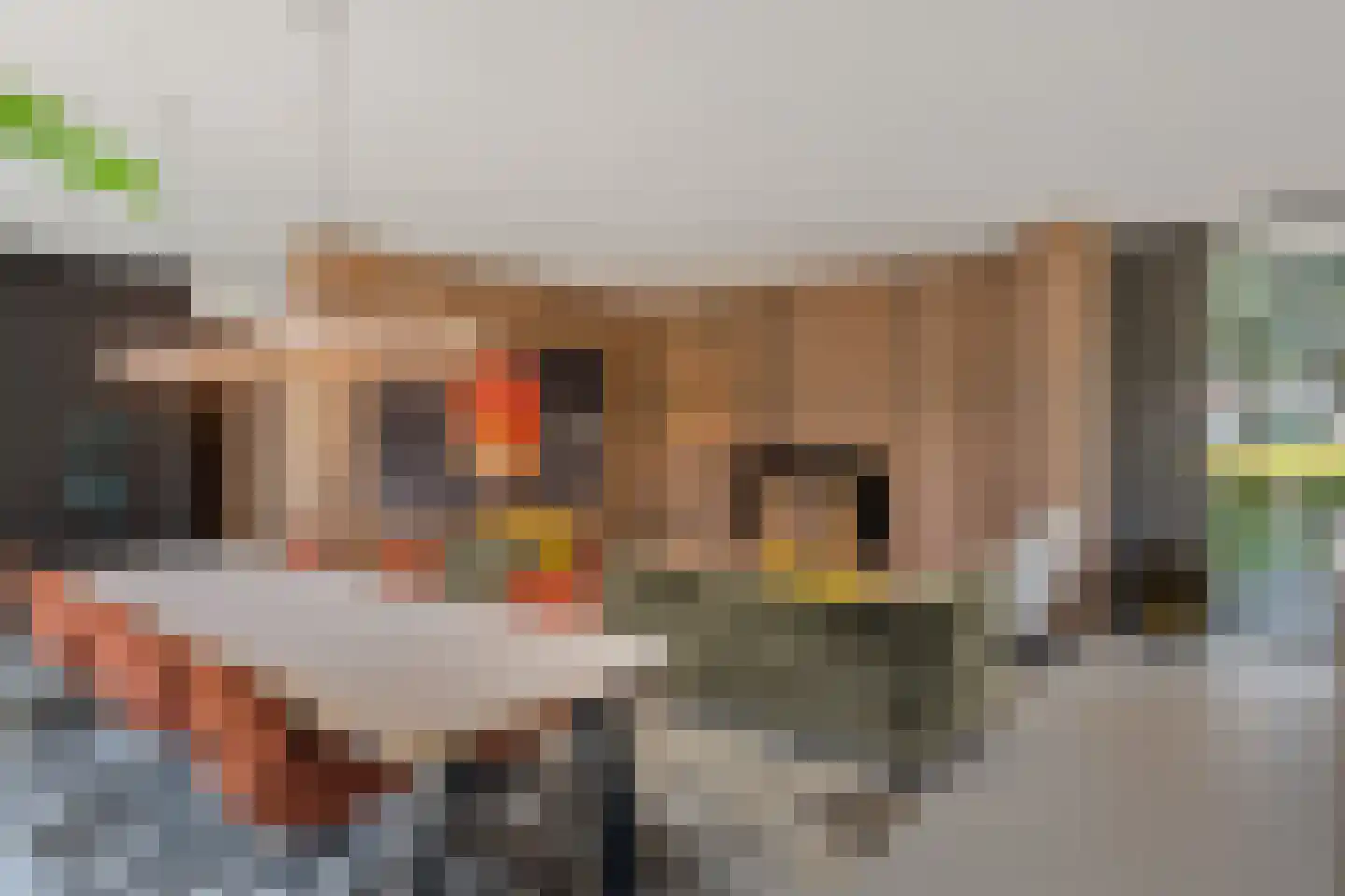 van Boetzelaerstraat 5 Nijmegen thumbnail 15