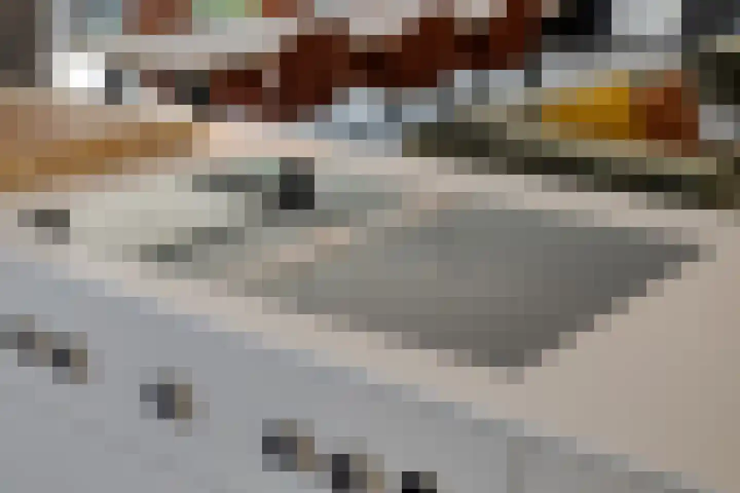 van Boetzelaerstraat 5 Nijmegen thumbnail 22