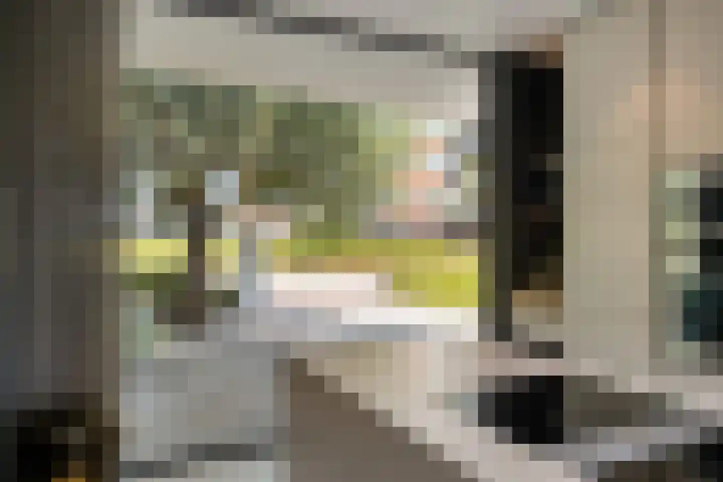 van Boetzelaerstraat 5 Nijmegen thumbnail 25