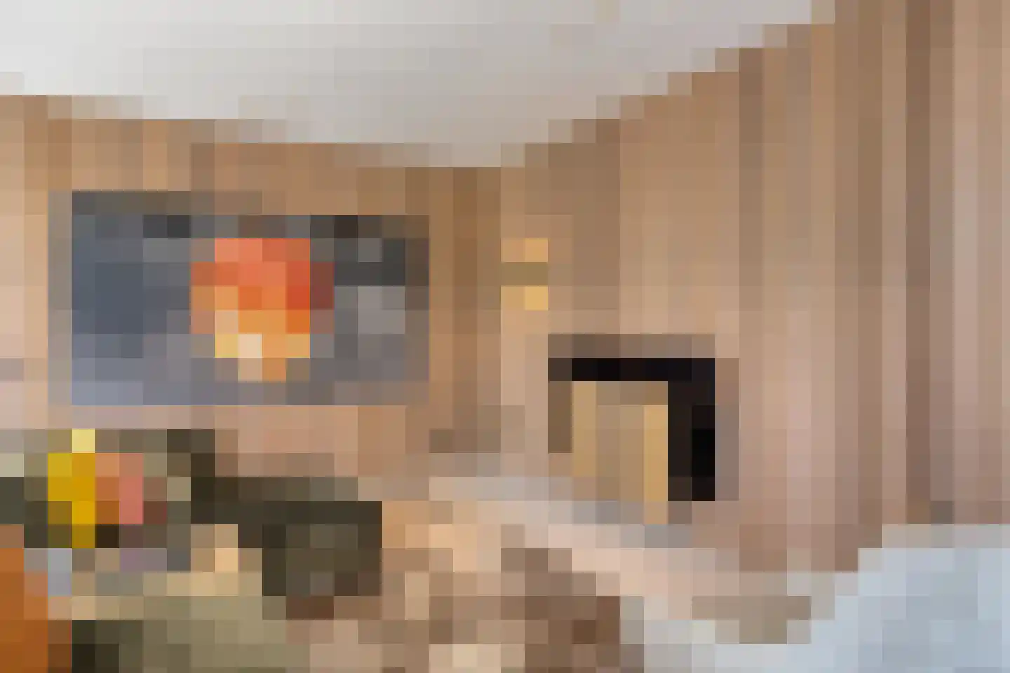 van Boetzelaerstraat 5 Nijmegen thumbnail 26