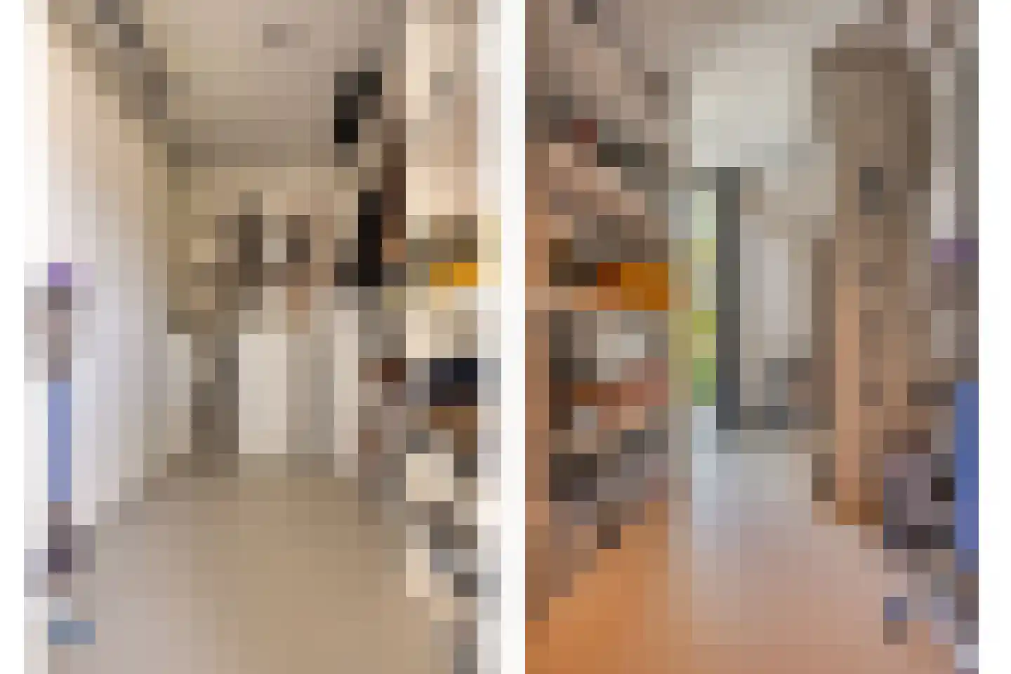 van Boetzelaerstraat 5 Nijmegen thumbnail 40
