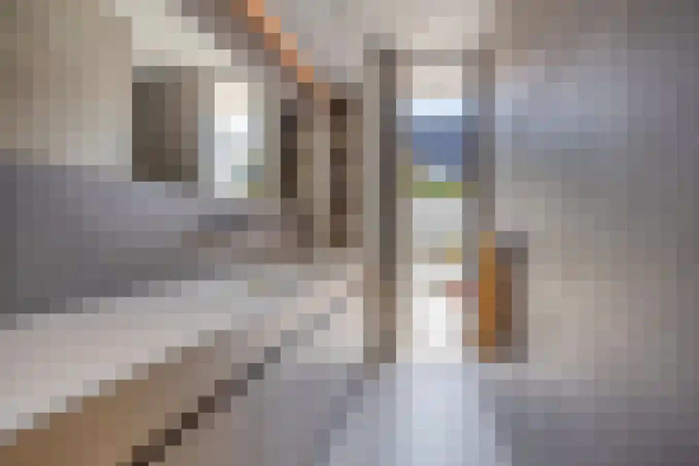 van Boetzelaerstraat 5 Nijmegen thumbnail 53