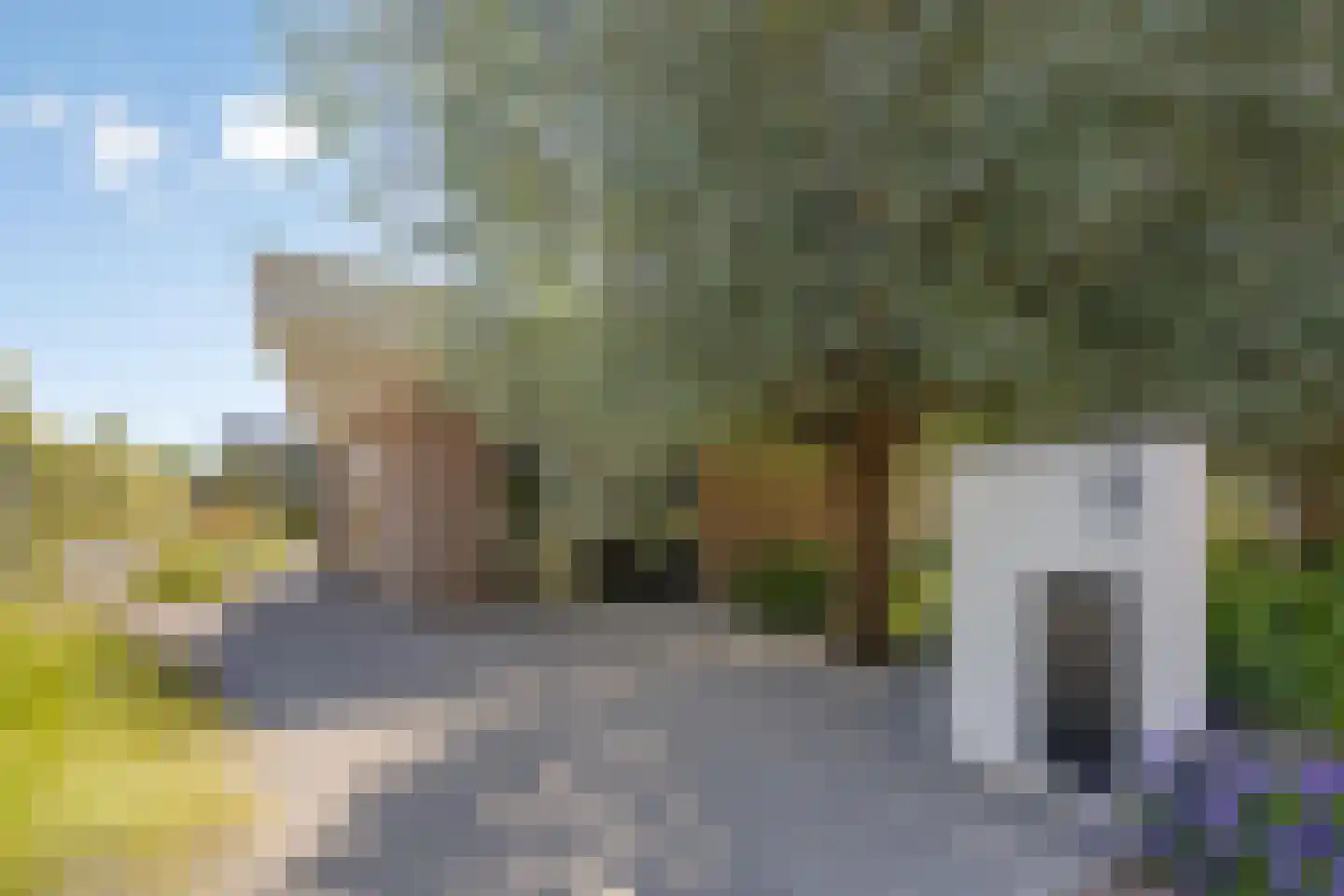 van Boetzelaerstraat 5 Nijmegen thumbnail 6