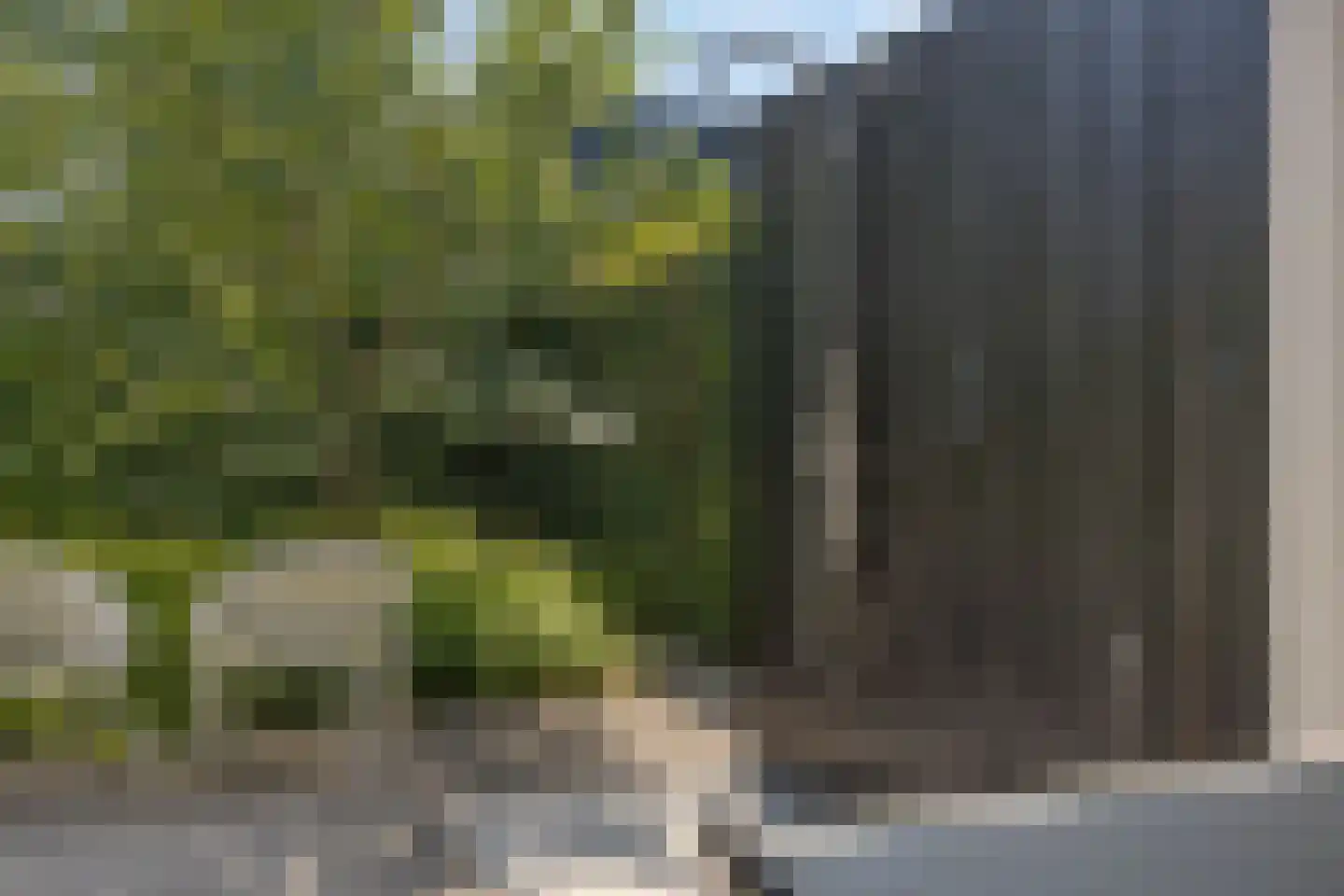 van Boetzelaerstraat 5 Nijmegen thumbnail 63
