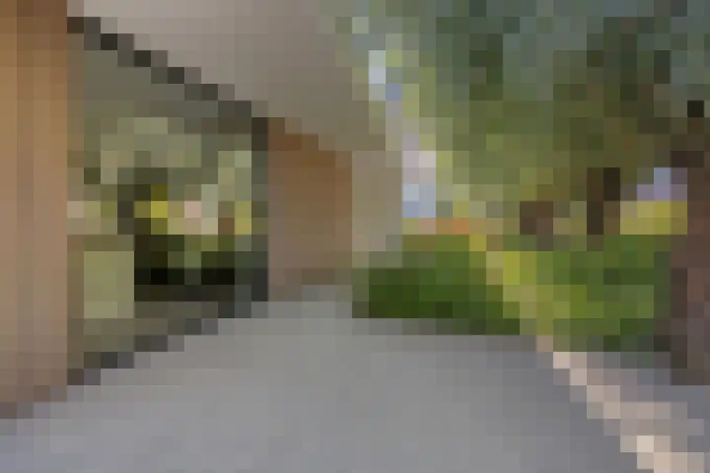 van Boetzelaerstraat 5 Nijmegen thumbnail 68