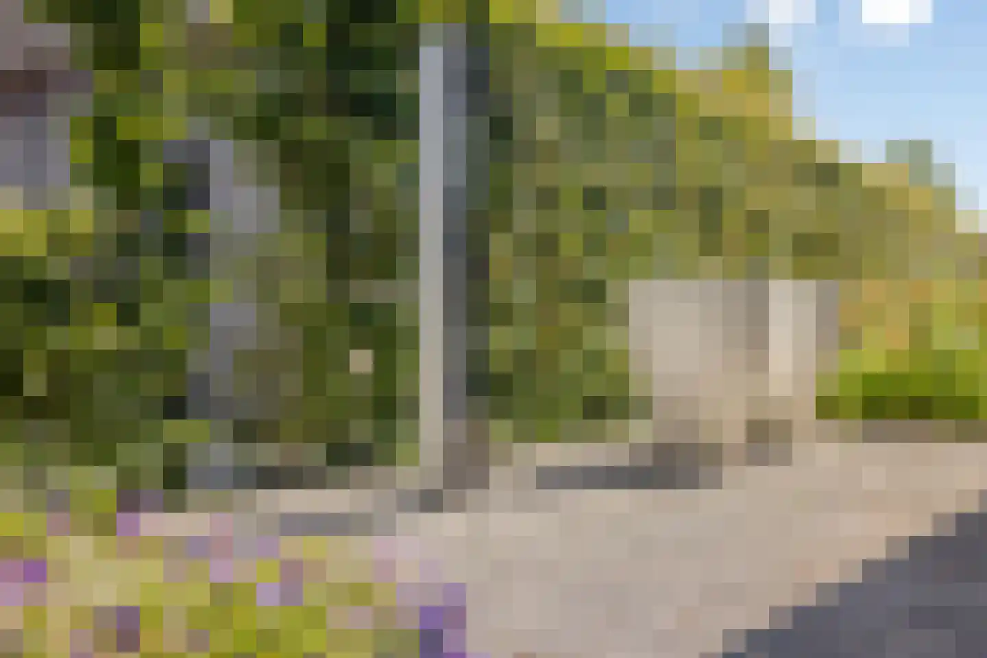 van Boetzelaerstraat 5 Nijmegen thumbnail 7