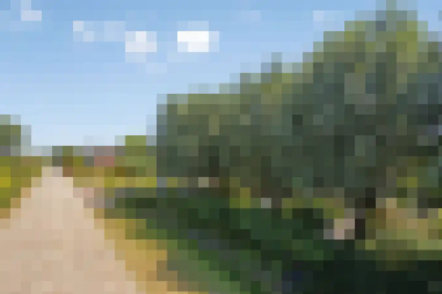 van Boetzelaerstraat 5 Nijmegen thumbnail 76