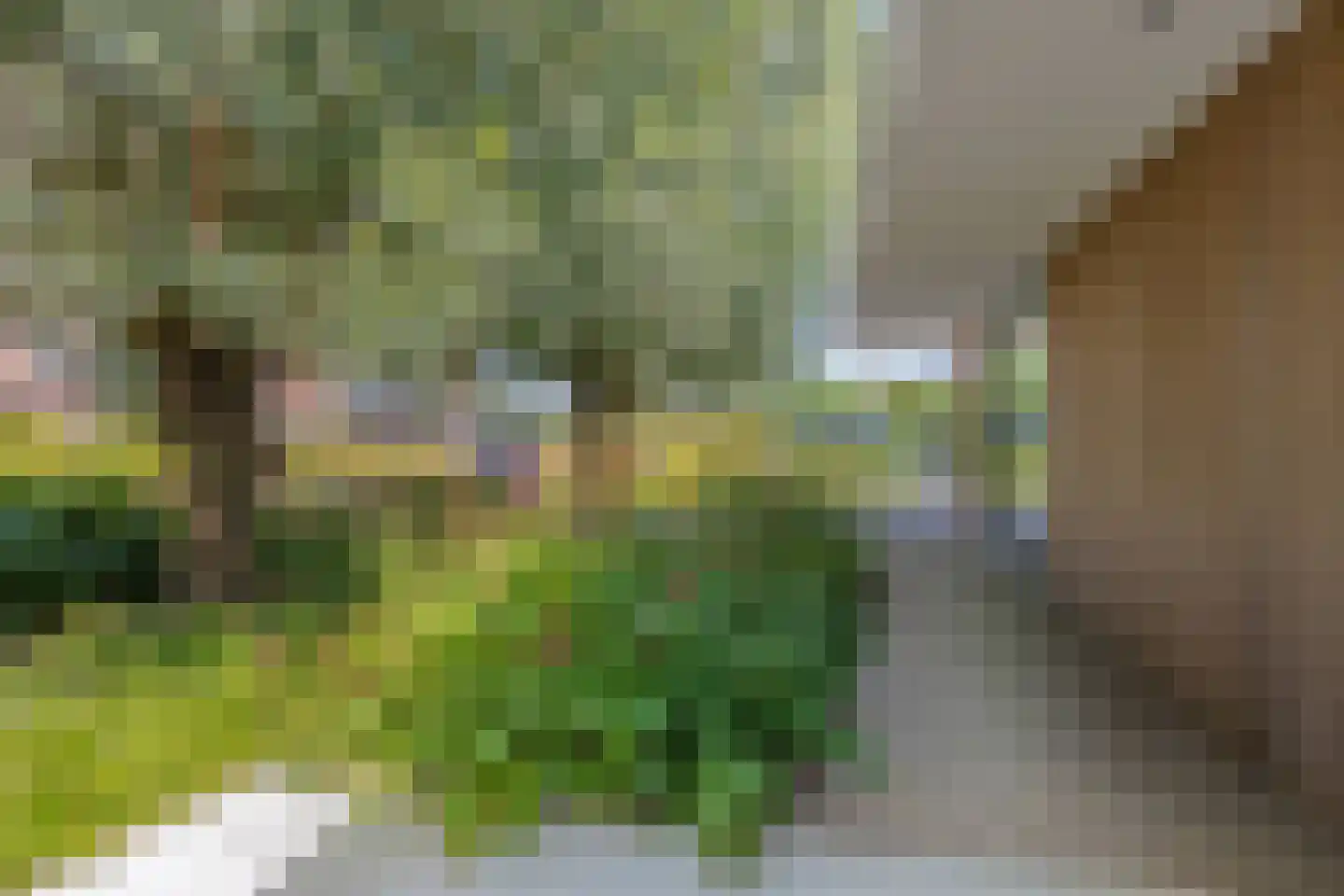 van Boetzelaerstraat 5 Nijmegen thumbnail 8