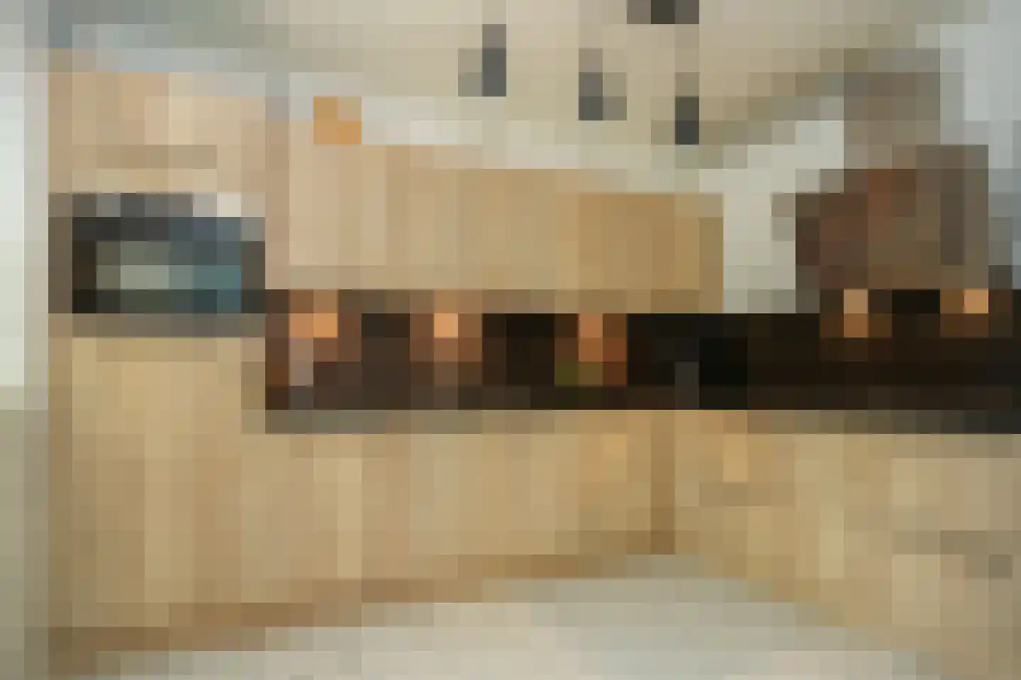 van Boetzelaerstraat 58 Asperen thumbnail 11