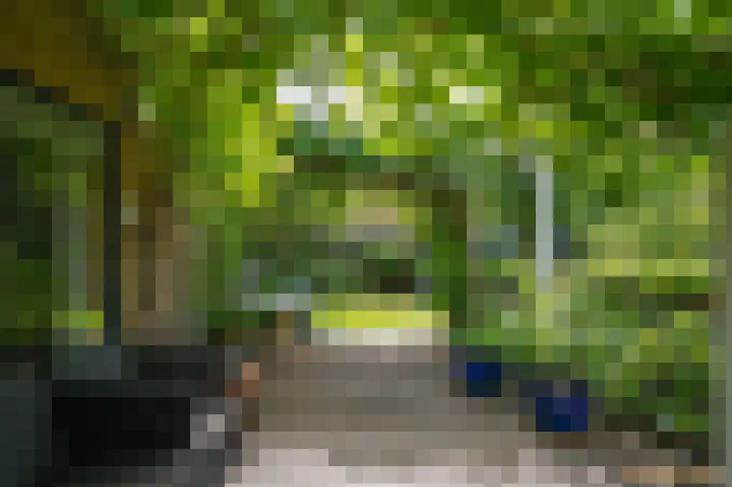 van Boetzelaerstraat 58 Asperen thumbnail 24