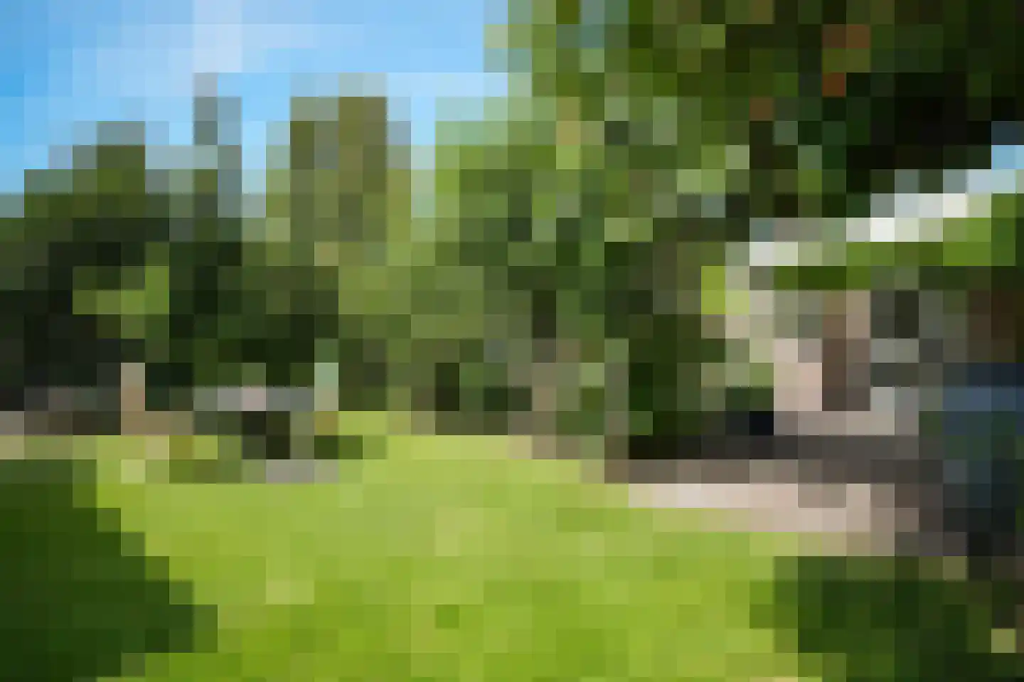 van Boetzelaerstraat 58 Asperen thumbnail 25