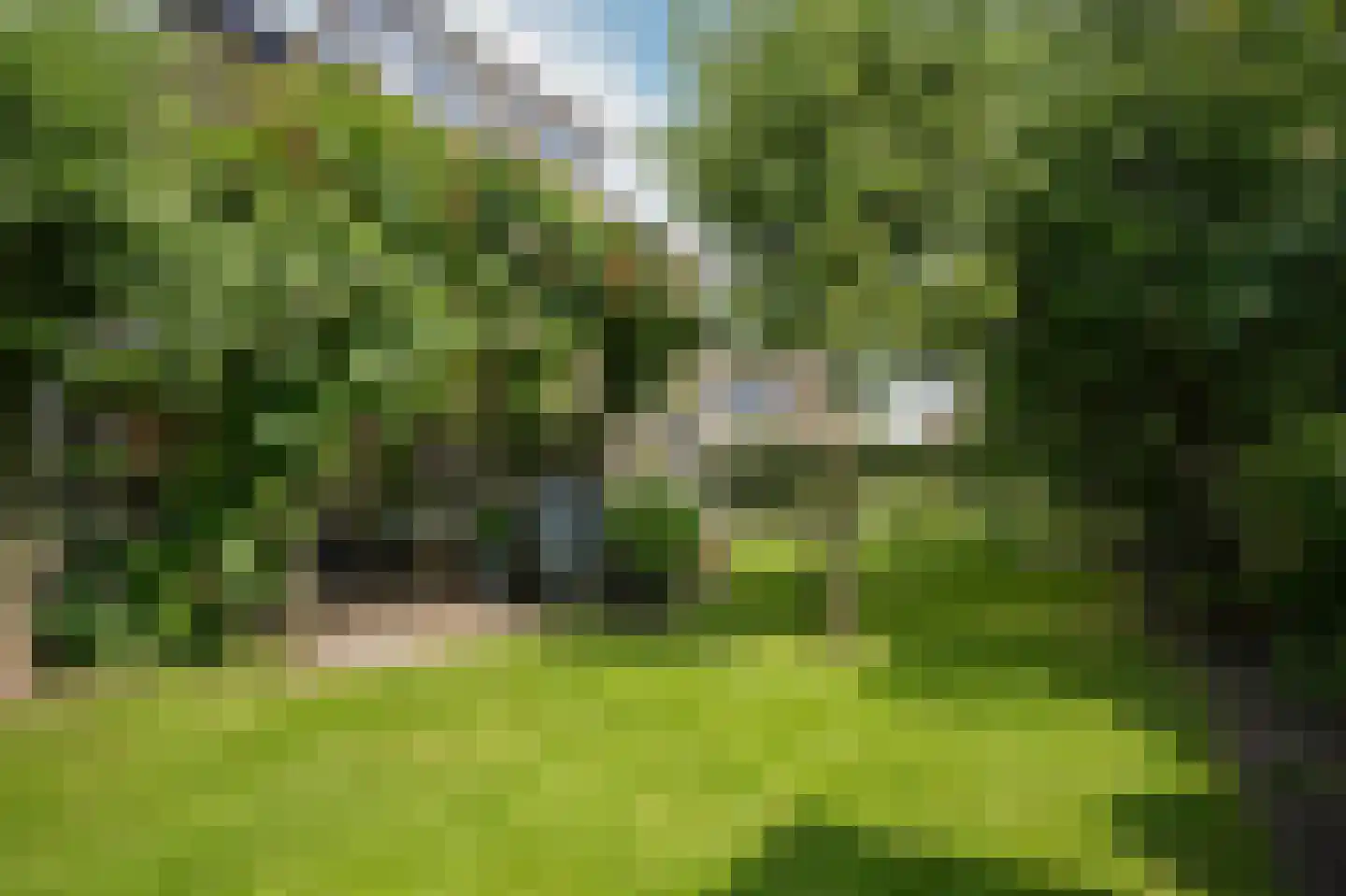 van Boetzelaerstraat 58 Asperen thumbnail 27