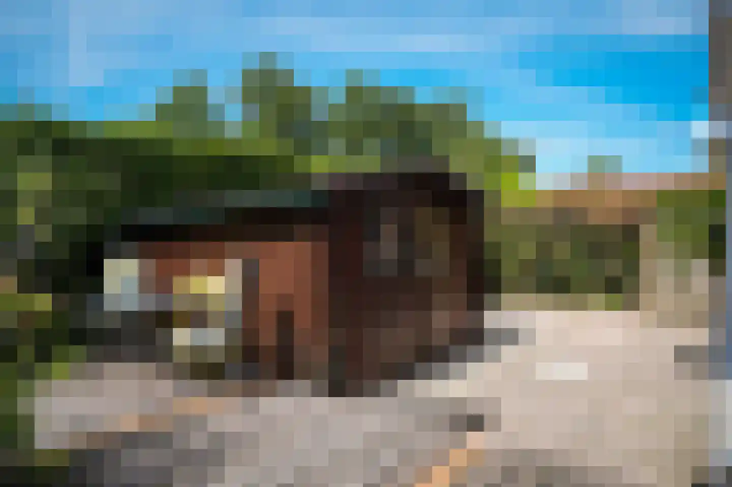 van Boetzelaerstraat 58 Asperen thumbnail 32