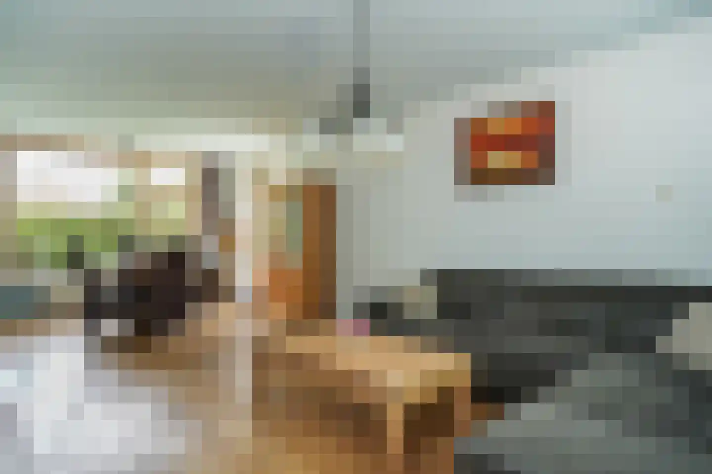 van Boetzelaerstraat 58 Asperen thumbnail 8