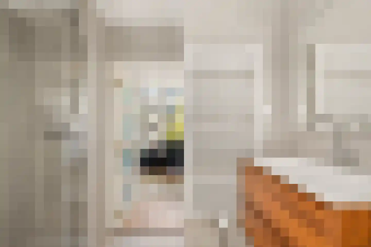 Van Boetzelaerstraat 68 H Amsterdam thumbnail 19