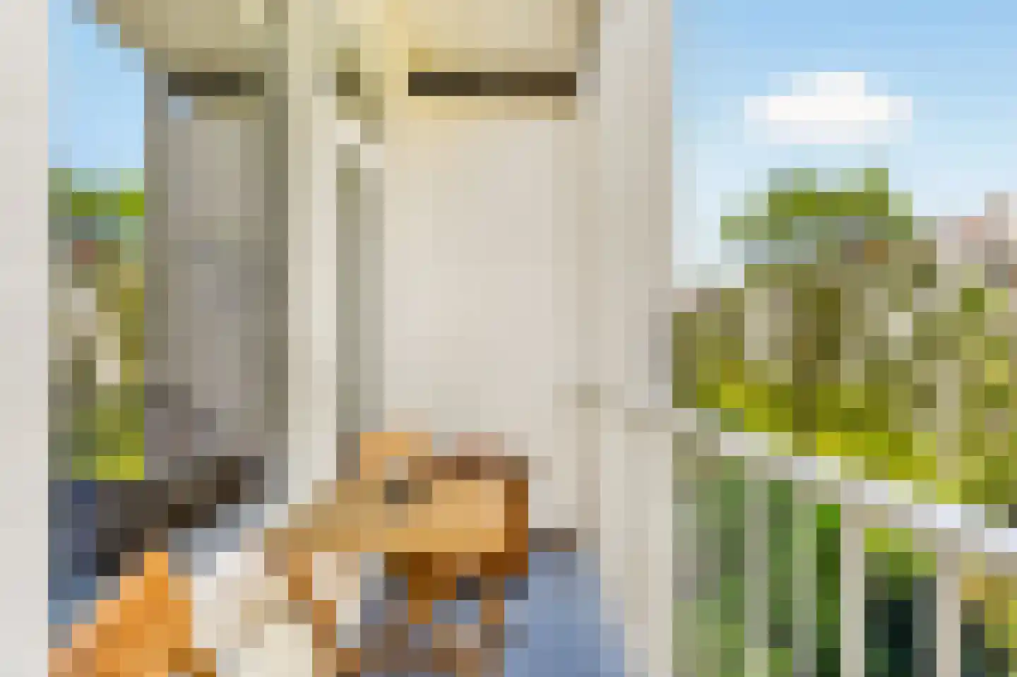 Van Boetzelaerstraat 68 H Amsterdam thumbnail 4