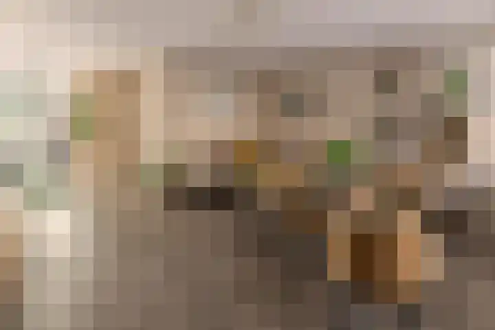 Van Boetzelaerstraat 69 H Amsterdam thumbnail 6