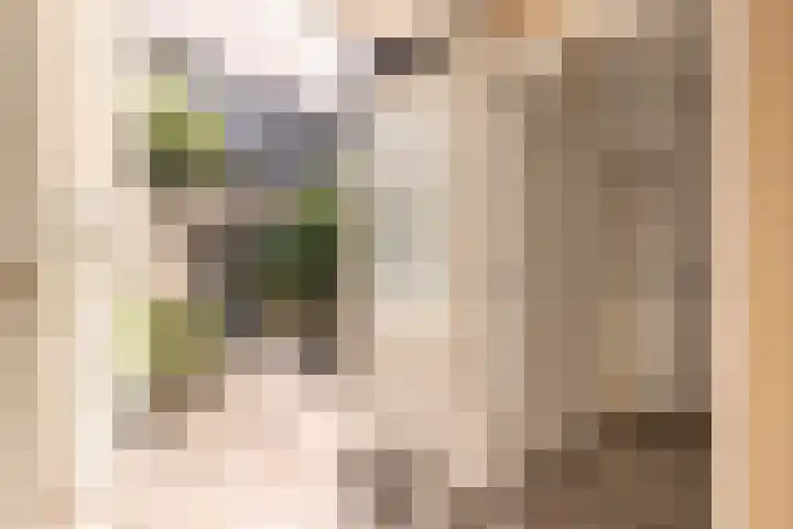 Van Boetzelaerstraat 69 H Amsterdam thumbnail 9