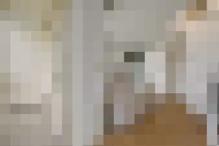 Van Boetzelaerstraat 70 3 Amsterdam thumbnail 14